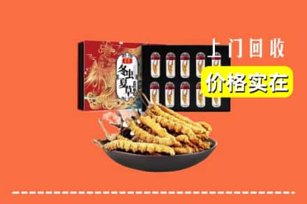 呼和浩特市玉泉区回收冬虫夏草